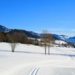 Detaillierte Infos zum Langlauf und den Loipen im Langlaufgebiet Goldegg