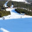 Information about the ski resort Arber