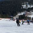 Information about the ski resort Arber