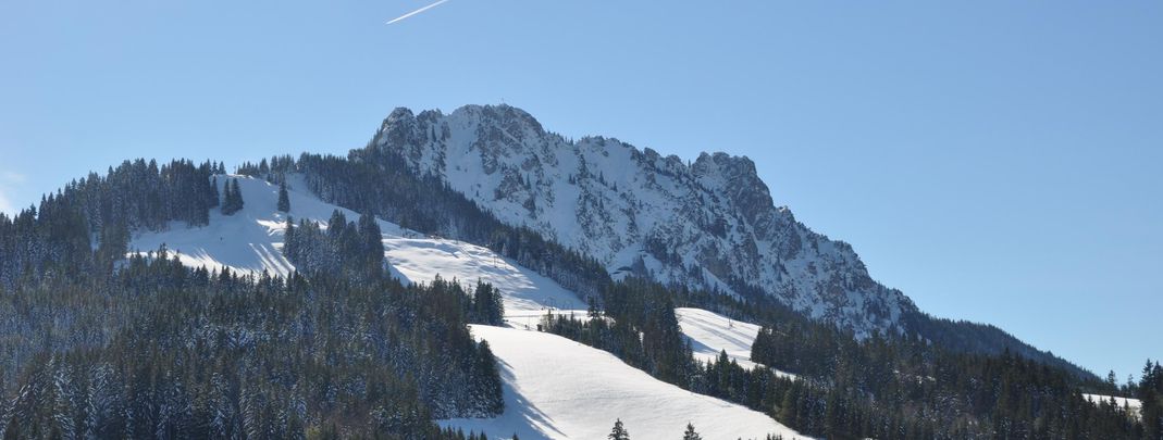 Detaillierte Infos zur Unterkunft Landhaus Wildschütz