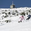 Information about the ski resort Gemeindealpe - Mitterbach