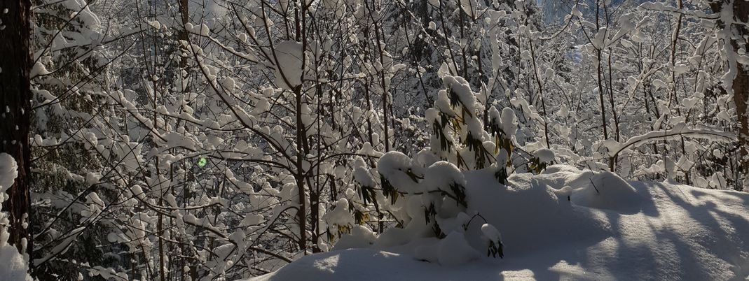 General information about your stay at Landhaus Alpbach