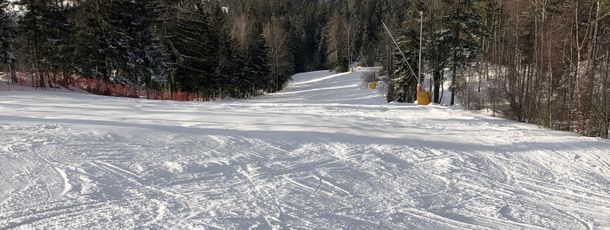 Information about the ski resort Skilift Wurmstein Flossenbürg