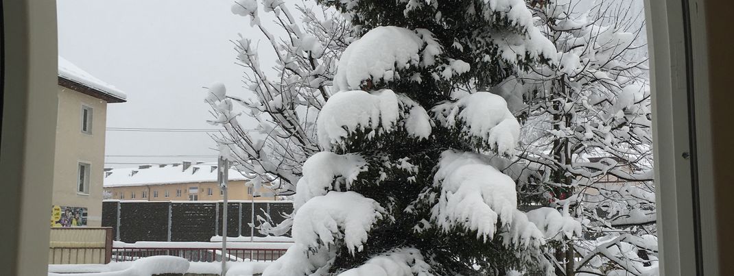 General information about your stay at Vitalhotel Lindenhof