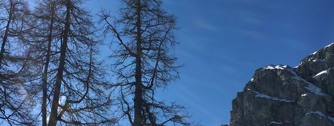Detaillierte Infos zur Unterkunft Landhaus Flaschberger