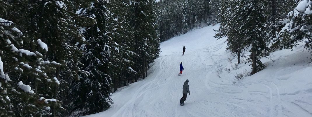 Hier darf das gesamte Areal innerhalb der Grenzen des Skigebiets befahren werden.