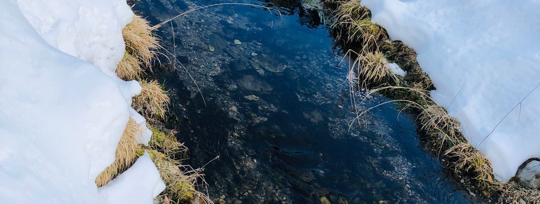 Detaillierte Infos zur Unterkunft Landhaus Lackner Appartements