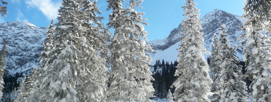 General information about your stay at Haus Anja