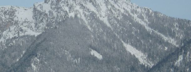 Detaillierte Infos zur Unterkunft Ferienwohnung Stickler