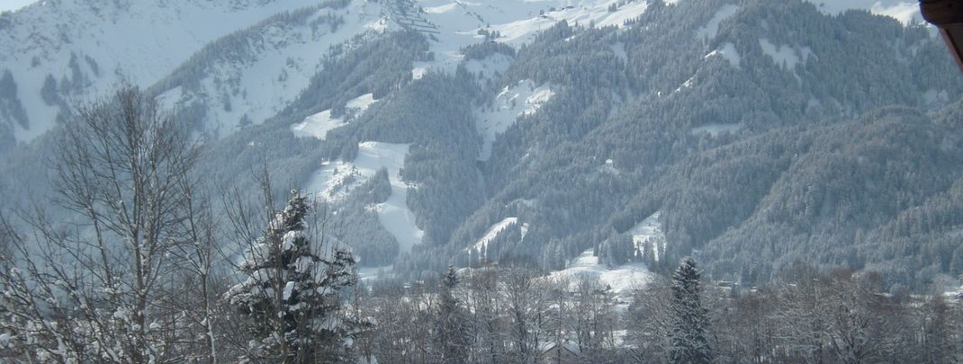 General information about your stay at Ferienwohnung Stickler