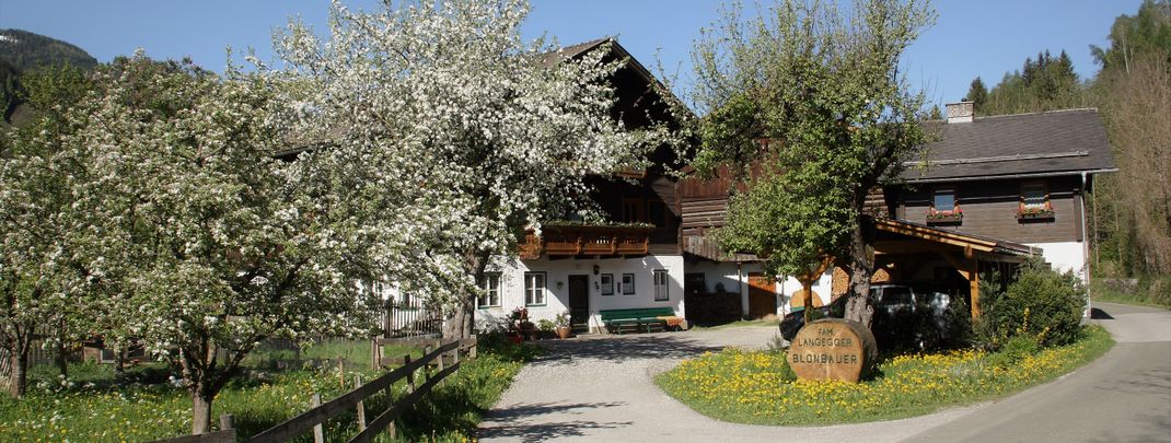 Detaillierte Infos zur Unterkunft Blonbauer