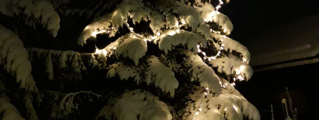 General information about your stay at Ötzmooshof