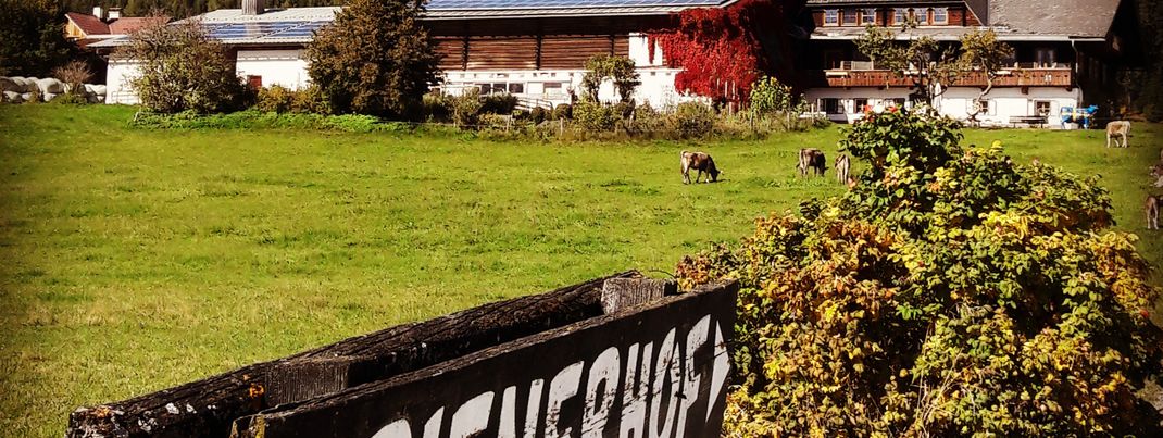 General information about your stay at Frienerhof