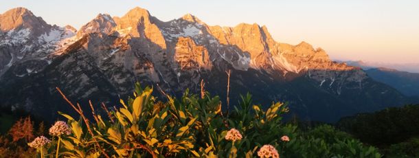 Detaillierte Infos zur Unterkunft Haus Alpengruß