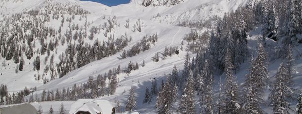 General information about your stay at Appartement Sonja Nassfeld