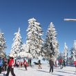 Information on Cross-Country Skiing at Mitterdorf