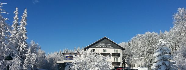 Detaillierte Infos zur Unterkunft Hotel Winterberg Resort