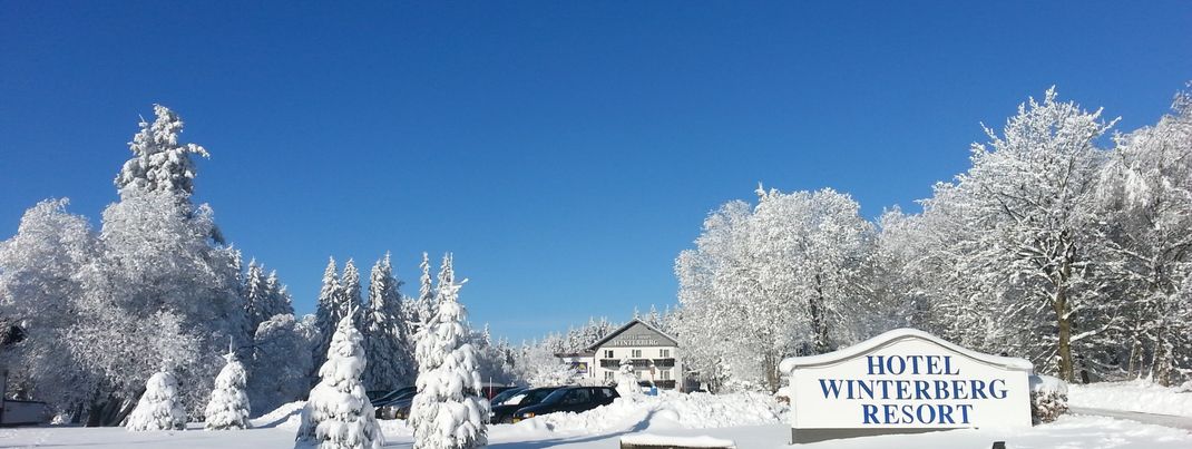 Detaillierte Infos zur Unterkunft Hotel Winterberg Resort