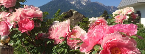 General information about your stay at Ferienhotel Glocknerhof