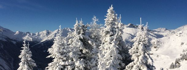 General information about your stay at Fewo Am Dörfl