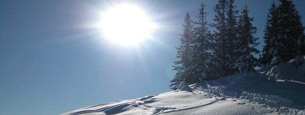 General information about your stay at Haus Leitner