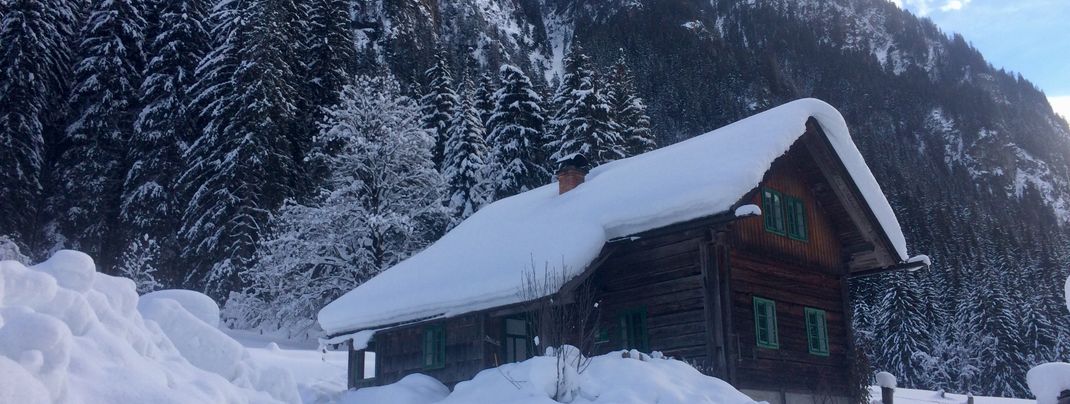 Detaillierte Infos zur Unterkunft Waldhäuslhütte