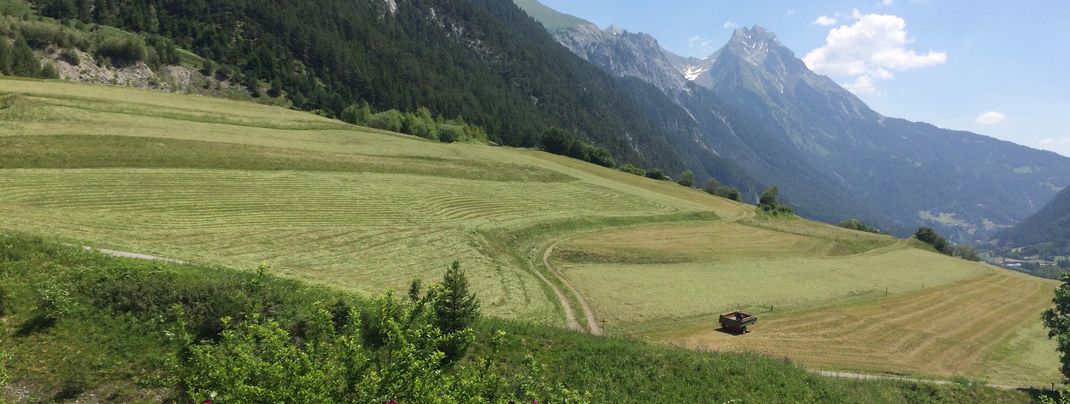 ein feiner Sommertag in Pettneu