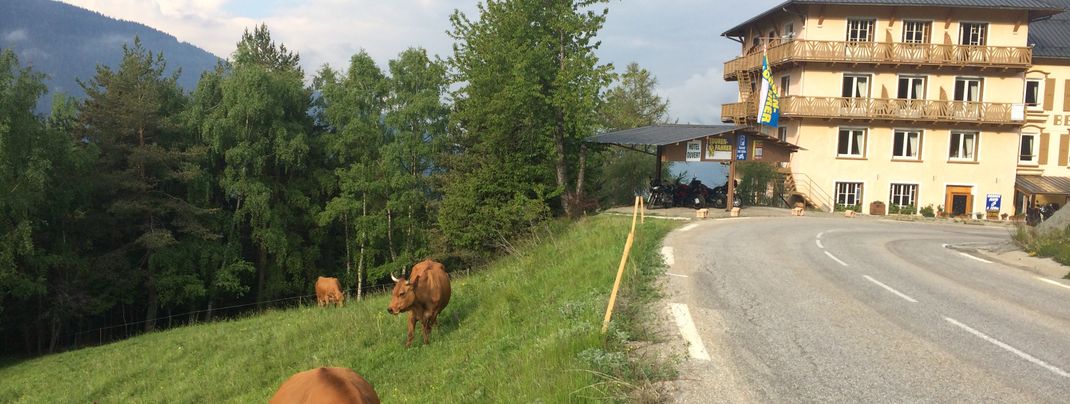 Detaillierte Infos zur Unterkunft Hôtel le Belvédère