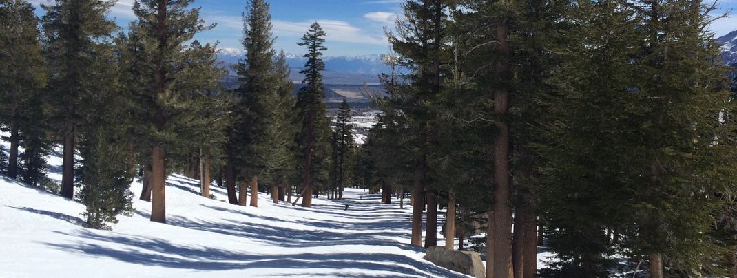 Eine der schönsten, einfachen Pisten: Quicksilver und Pumpkin am Cloud 9 Express.