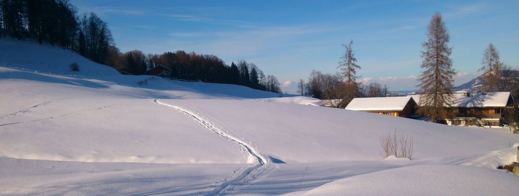 General information about your stay at Pension Hochdürrnberg