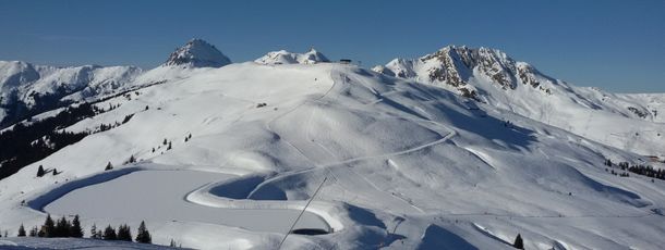 Detaillierte Infos zur Unterkunft Appartement Irmgard