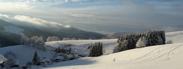 Blick nach Süden von der Panorama Sonnenalm Hochschwarzwald zum Bucklift und den Alpen