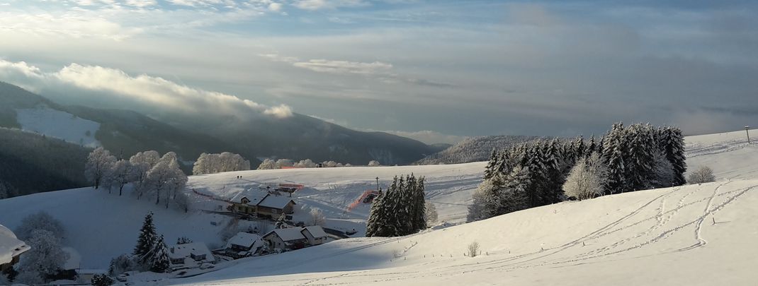 Blick nach Süden von der Panorama Sonnenalm Hochschwarzwald zum Bucklift und den Alpen