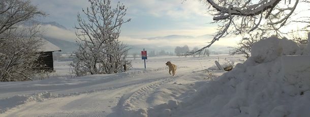 Detaillierte Infos zur Unterkunft Appartement Baby & Kinderbauernhof Stefflhof