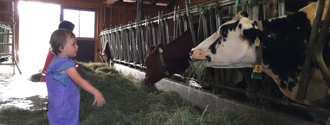 General information about your stay at Herzoghof