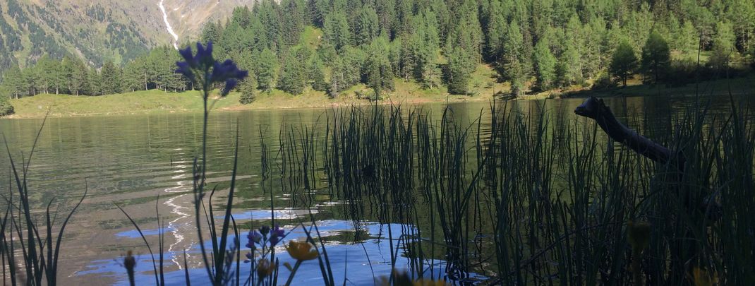 Detaillierte Infos zur Unterkunft Waldhäuslhütte