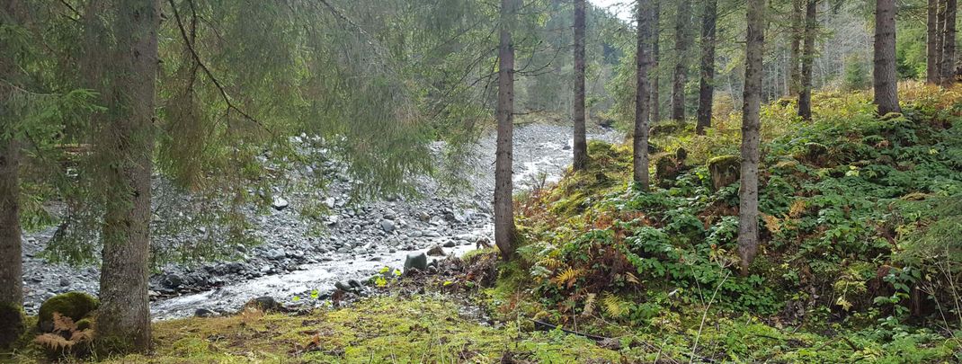 Detaillierte Infos zur Unterkunft Almliesl JOCH-174