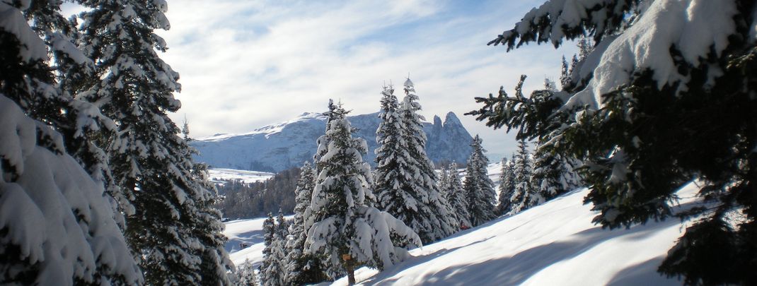 Detaillierte Infos zur Unterkunft Fewo Costanzi A.