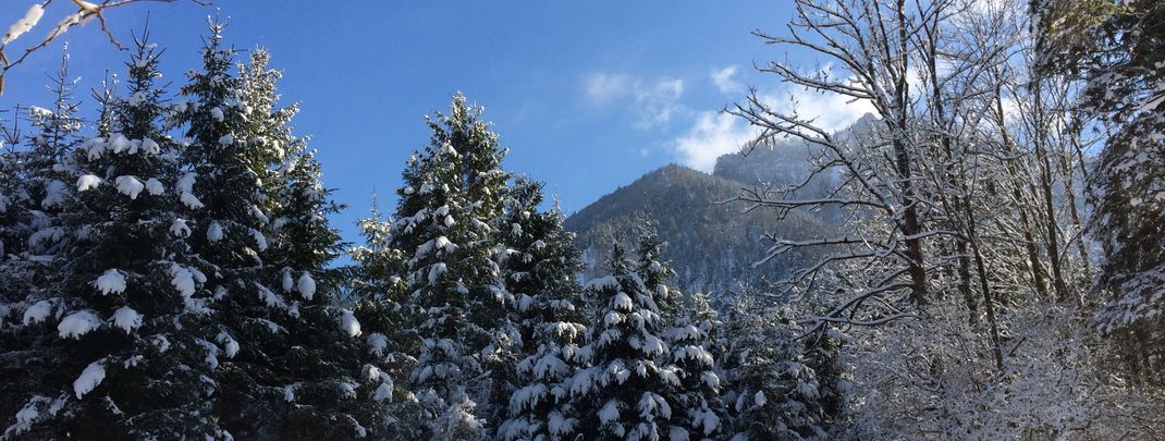 Detaillierte Infos zur Unterkunft Jugendgästehaus Schindlbach