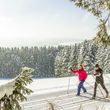 Information on Cross-Country Skiing at Cross Country Center Pastorenwiese Wunderthausen