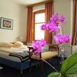 General information about your stay at Pension Florian am Park
