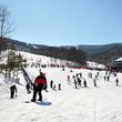 Information about the ski resort Massanutten Resort
