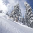 Enjoy one of the best ski resorts wordlwide