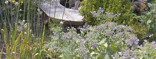 General information about your stay at Pension Aloisia