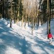Information about the ski resort Porcupine Mountain