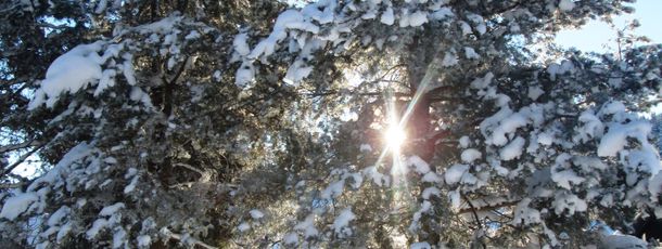 General information about your stay at Schweizermichelhof