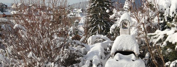 General information about your stay at Hallenbad-FeWos Villa Rustica