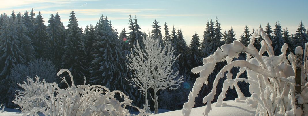 General information about your stay at Berghaus Oberleitner