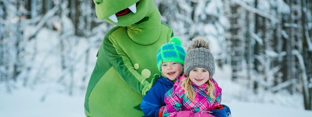 Information about the ski resort Voithenberg Gibacht