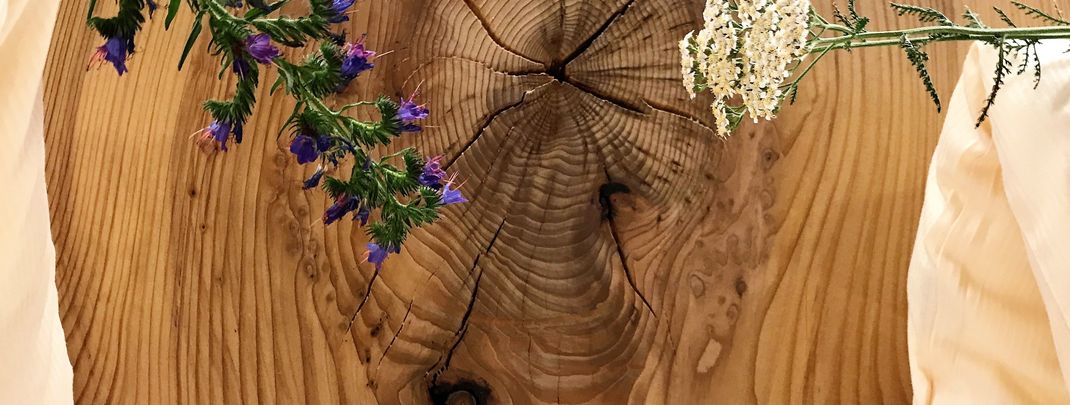 Detaillierte Infos zur Unterkunft Hotel Garni Ida